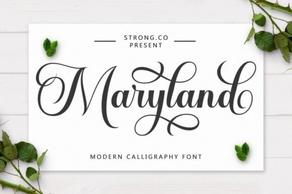 Maryland: A Script Font with Handcrafted Elegance