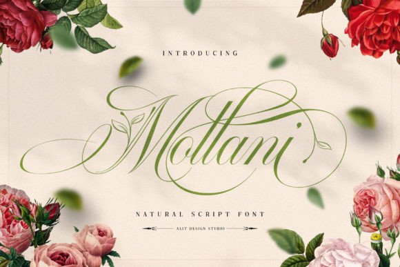 Mollani: Where Elegant Script Meets Organic Nature